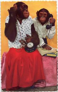 Collection Lombard - Telephones anciens - 